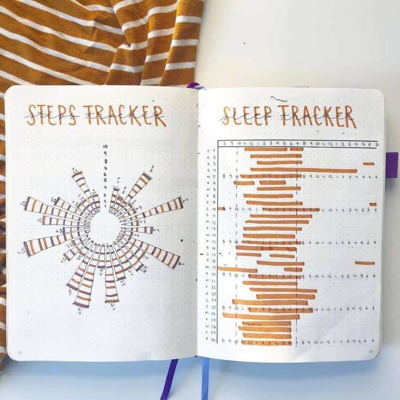 9 Weight Loss Bullet Journal Page Ideas | Masha Plans