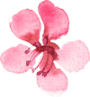 flower-1