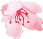 flower-2