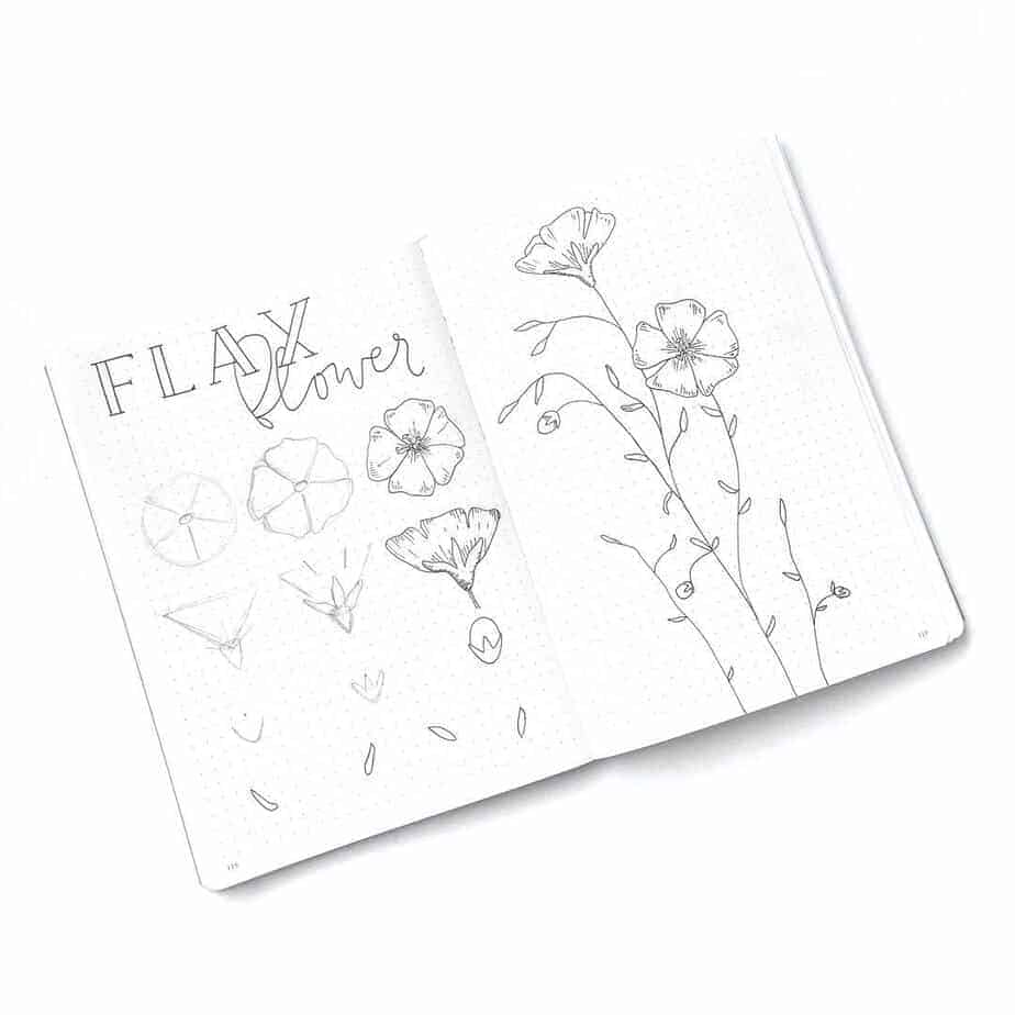 Master Your Bullet Journal Doodles, @inkbyjeng | Masha Plans