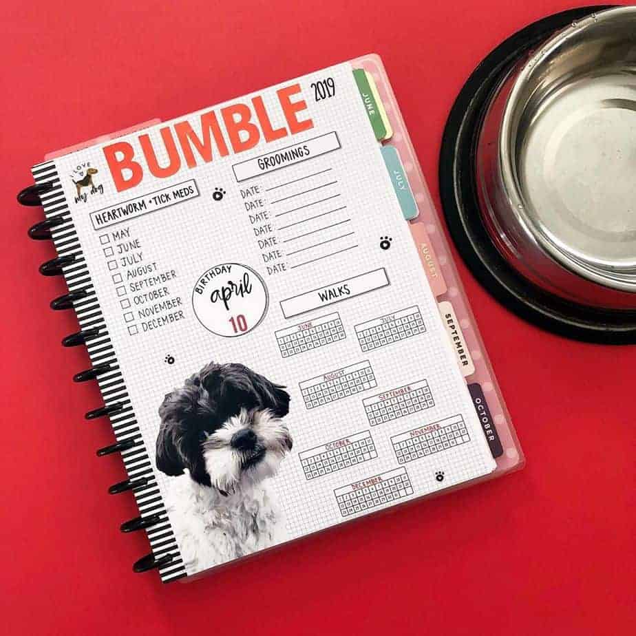 Pet Tracker @planningwithbumble | Masha Plans