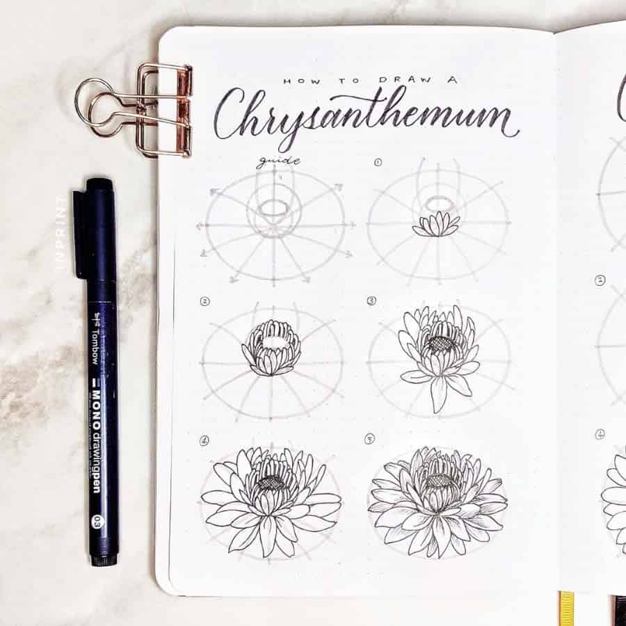 Tips for Drawing Simple Flowers Using MONO Drawing Pens - Tombow