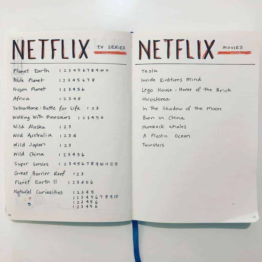 Homeschool Bullet Journal Page Ideas - netflix tracker by @journalmumma | Masha Plans