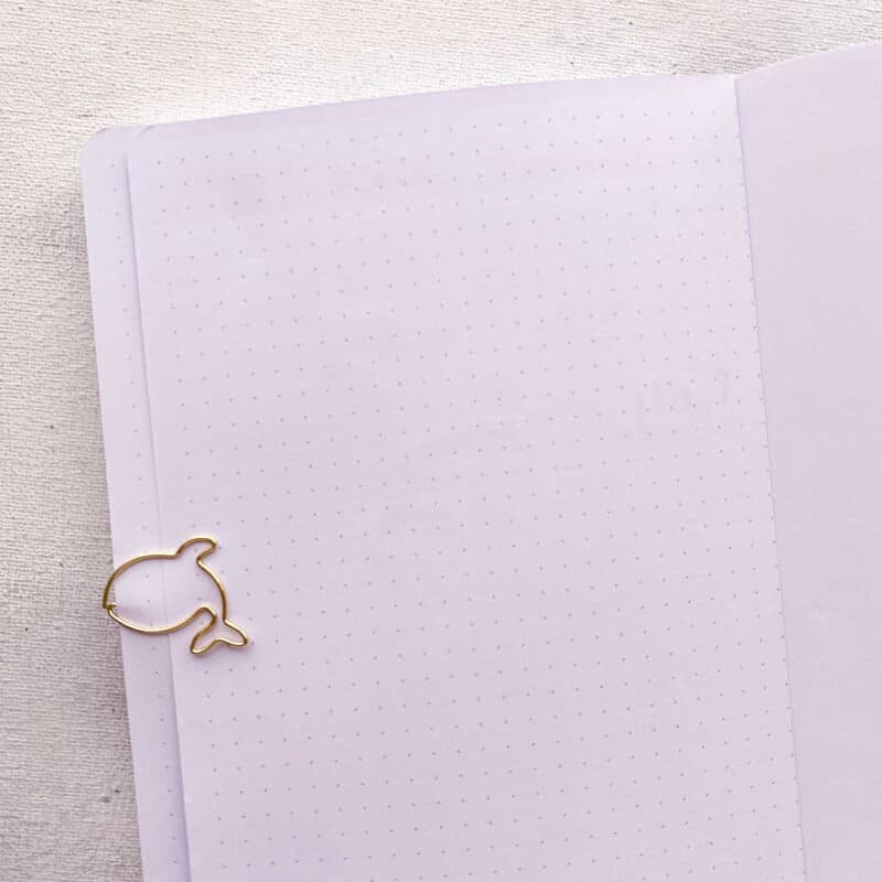 Best 160 GSM Bullet Journal Notebooks The Ultimate Comparison Masha