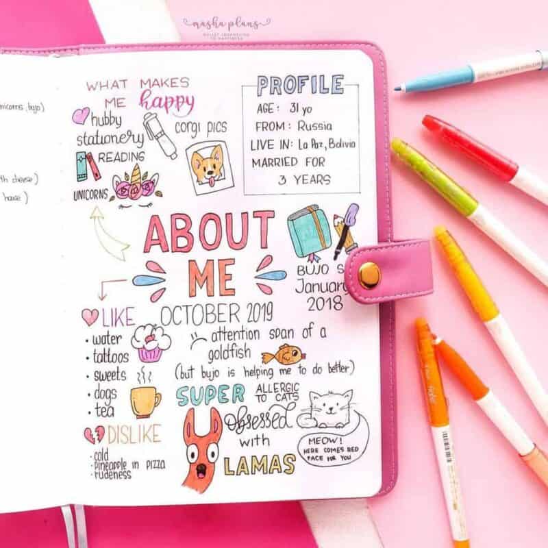 about-me-page-in-your-bullet-journal-and-why-you-need-one-masha-plans