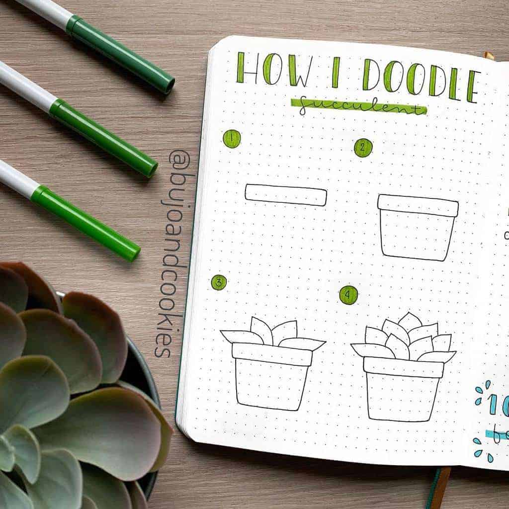 Succulent Doodle Tutorial by @bujoandcookies