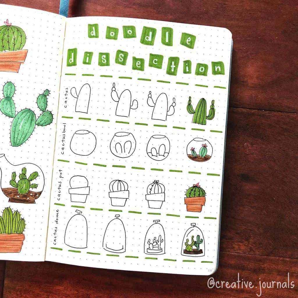 Terrarium Succulent Doodles by @julipenobagelco