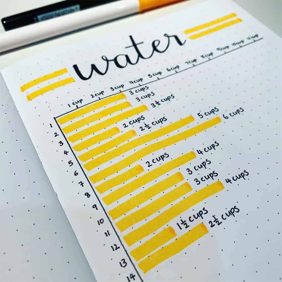 Water Intake Tracker (Beginner)