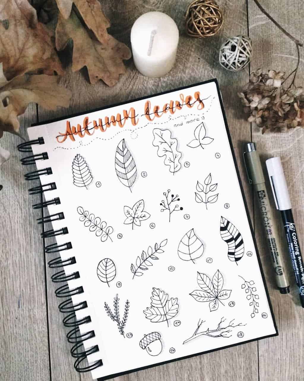 Fall Doodles - how to doodle leaves spread by @ginger.bullet.journal