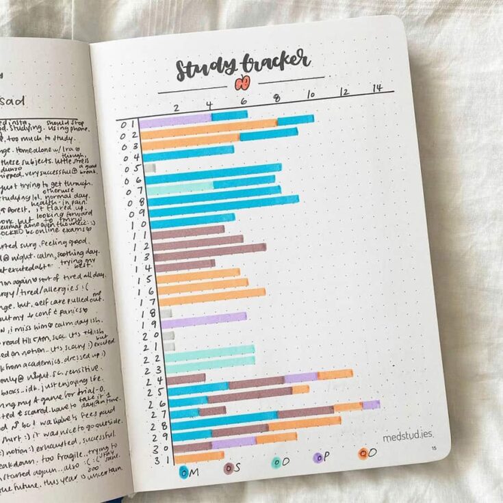 17 Must Have Bullet Journal Pages For School